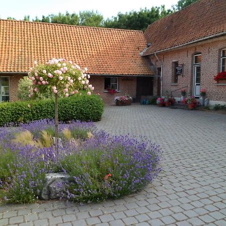 Gite De La Noyelle A Sainghin En Melantois ภายนอก รูปภาพ