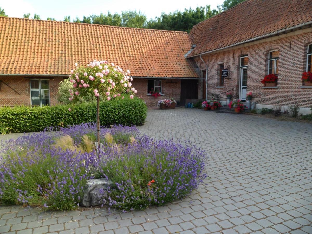 Gite De La Noyelle A Sainghin En Melantois ภายนอก รูปภาพ